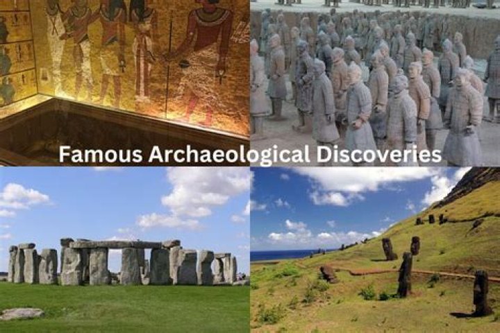 Discoveries And Insights From Wallmine