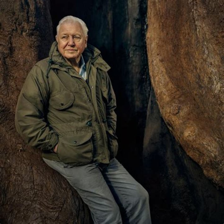 Richard Attenborough's Net Worth, Biography, And Life Unveiled